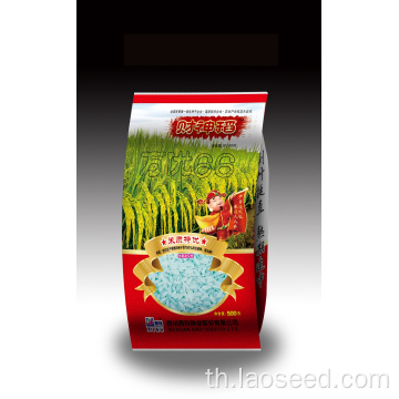 Wanyou 66 Indica Hybrid Rice หลากหลาย